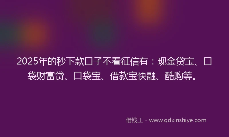 2025年的秒下款口子不看征信有：现金贷宝、口袋财富贷、口袋宝、借款宝快融、酷购等。