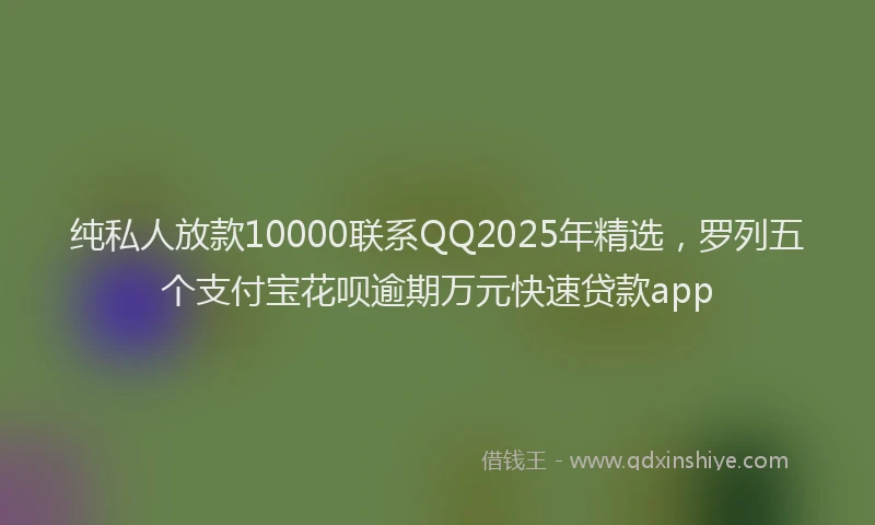 纯私人放款10000联系QQ2025年精选，罗列五个支付宝花呗逾期万元快速贷款app