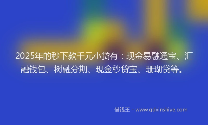 2025年的秒下款千元小贷有：现金易融通宝、汇融钱包、树融分期、现金秒贷宝、珊瑚贷等。