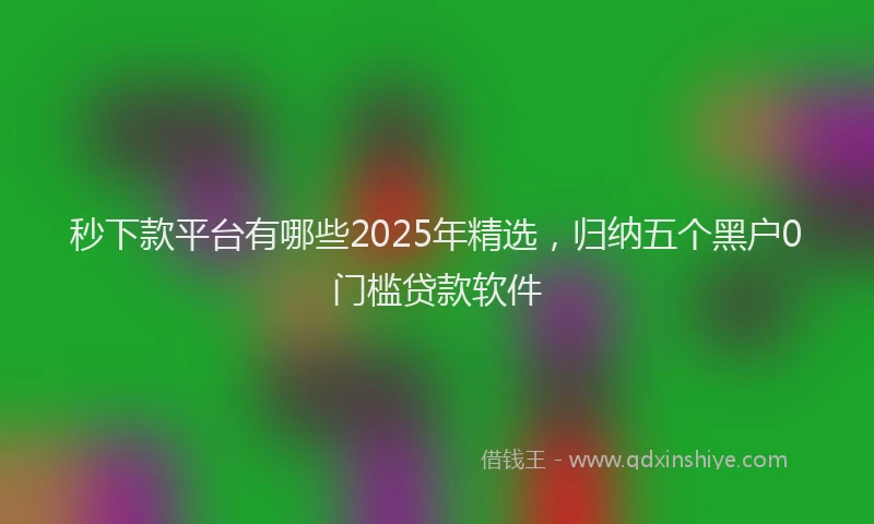秒下款平台有哪些2025年精选，归纳五个黑户0门槛贷款软件
