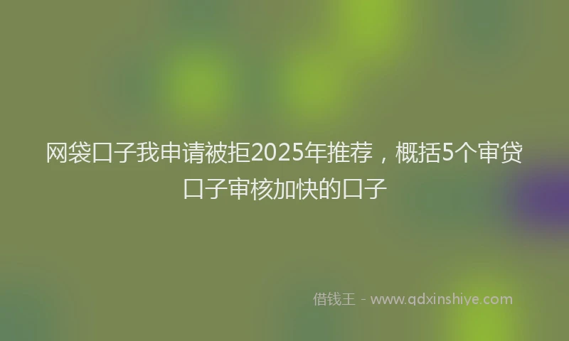 网袋口子我申请被拒2025年推荐，概括5个审贷口子审核加快的口子