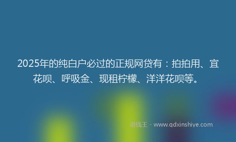 2025年的纯白户必过的正规网贷有：拍拍用、宜花呗、呼吸金、现租柠檬、洋洋花呗等。