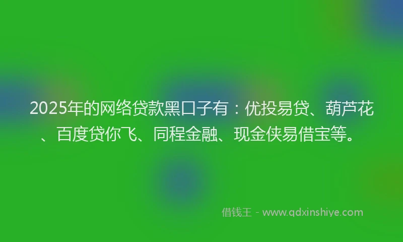 2025年的网络贷款黑口子有：优投易贷、葫芦花、百度贷你飞、同程金融、现金侠易借宝等。
