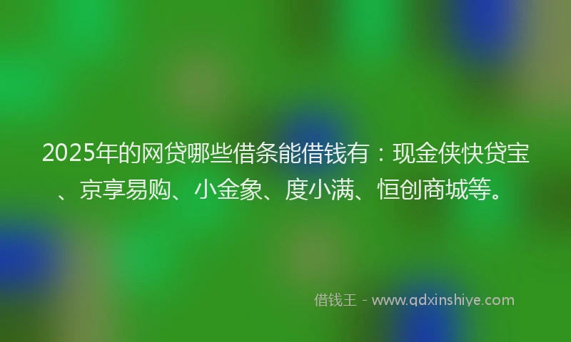 2025年的网贷哪些借条能借钱有：现金侠快贷宝、京享易购、小金象、度小满、恒创商城等。