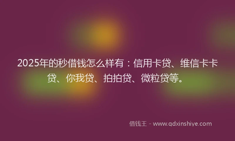 2025年的秒借钱怎么样有：信用卡贷、维信卡卡贷、你我贷、拍拍贷、微粒贷等。