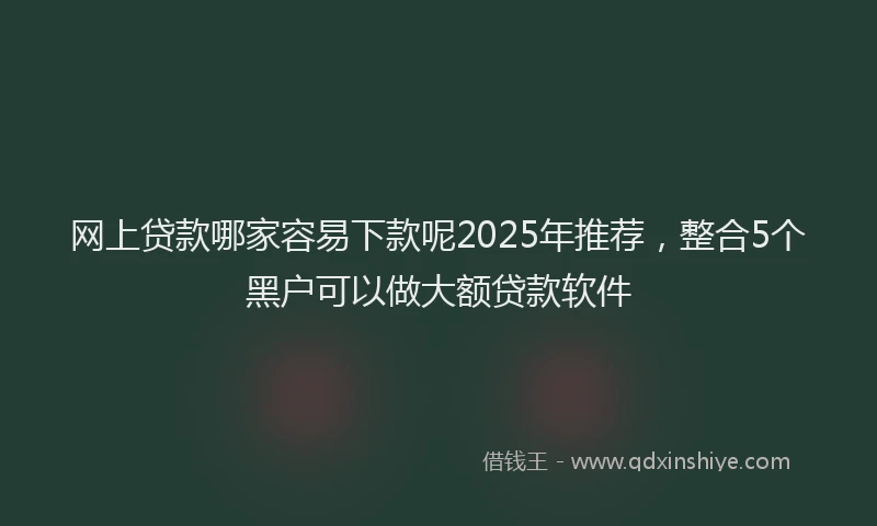 网上贷款哪家容易下款呢2025年推荐，整合5个黑户可以做大额贷款软件