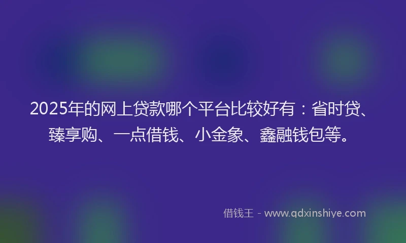2025年的网上贷款哪个平台比较好有：省时贷、臻享购、一点借钱、小金象、鑫融钱包等。