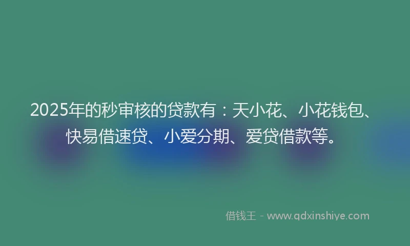 2025年的秒审核的贷款有：天小花、小花钱包、快易借速贷、小爱分期、爱贷借款等。