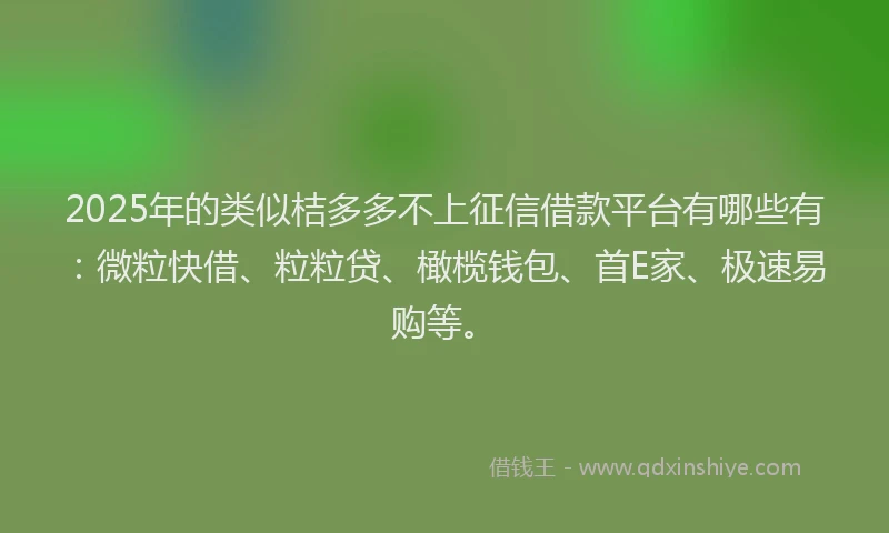 2025年的类似桔多多不上征信借款平台有哪些有：微粒快借、粒粒贷、橄榄钱包、首E家、极速易购等。