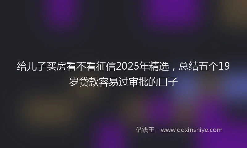 给儿子买房看不看征信2025年精选，总结五个19岁贷款容易过审批的口子