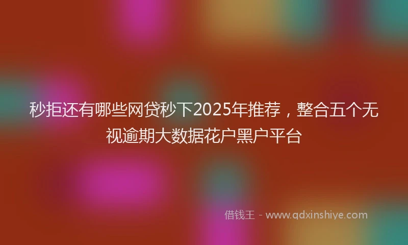 秒拒还有哪些网贷秒下2025年推荐，整合五个无视逾期大数据花户黑户平台