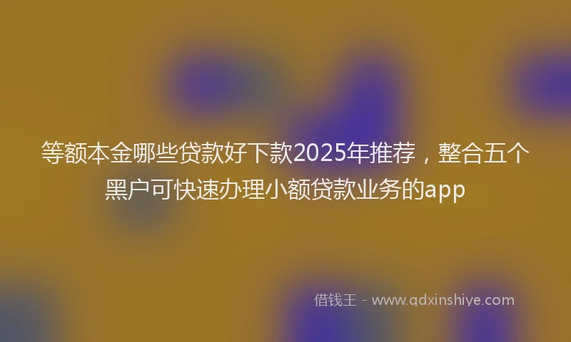 等额本金哪些贷款好下款2025年推荐，整合五个黑户可快速办理小额贷款业务的app