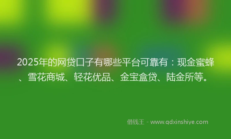 2025年的网贷口子有哪些平台可靠有：现金蜜蜂、雪花商城、轻花优品、金宝盒贷、陆金所等。