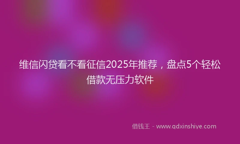 维信闪贷看不看征信2025年推荐，盘点5个轻松借款无压力软件