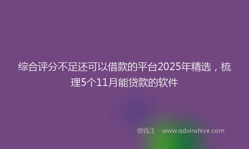 综合评分不足还可以借款的平台2025年精选，梳理5个11月能贷款的软件