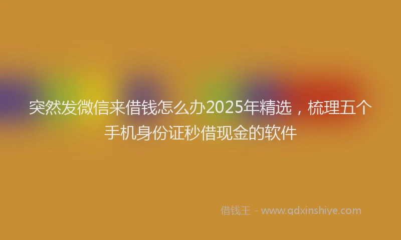 突然发微信来借钱怎么办2025年精选，梳理五个手机身份证秒借现金的软件
