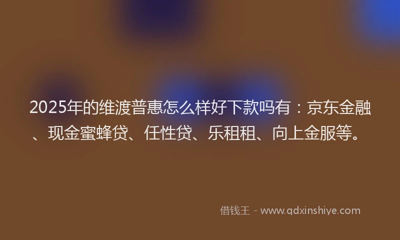 2025年的维渡普惠怎么样好下款吗有：京东金融、现金蜜蜂贷、任性贷、乐租租、向上金服等。