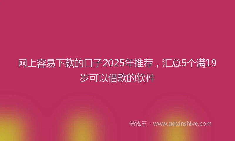 网上容易下款的口子2025年推荐，汇总5个满19岁可以借款的软件