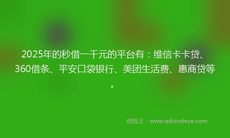2025年的秒借一千元的平台有：维信卡卡贷、360借条、平安口袋银行、美团生活费、惠商贷等。