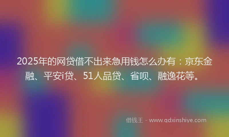 2025年的网贷借不出来急用钱怎么办有：京东金融、平安i贷、51人品贷、省呗、融逸花等。