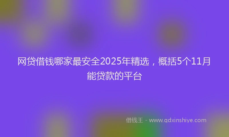 网贷借钱哪家最安全2025年精选，概括5个11月能贷款的平台