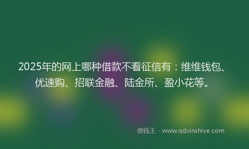 2025年的网上哪种借款不看征信有：维维钱包、优速购、招联金融、陆金所、盈小花等。