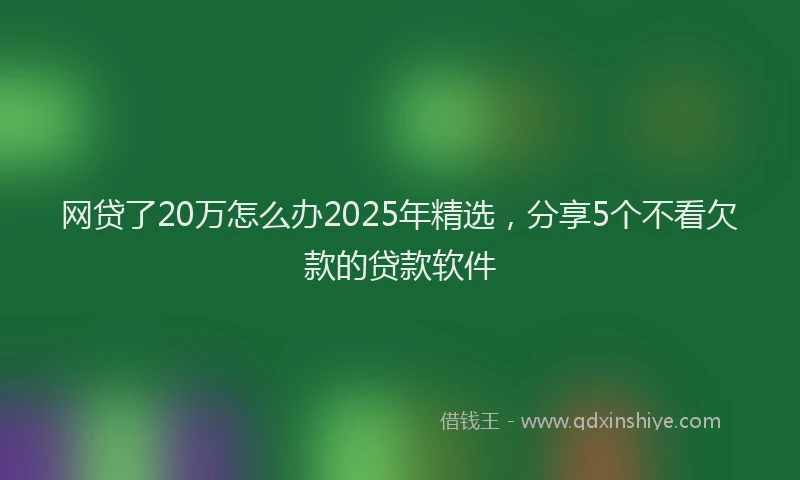 网贷了20万怎么办2025年精选，分享5个不看欠款的贷款软件