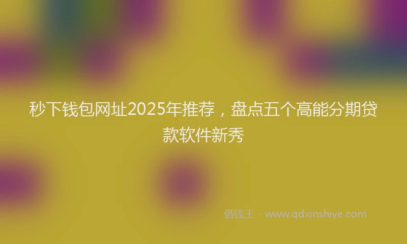 秒下钱包网址2025年推荐，盘点五个高能分期贷款软件新秀