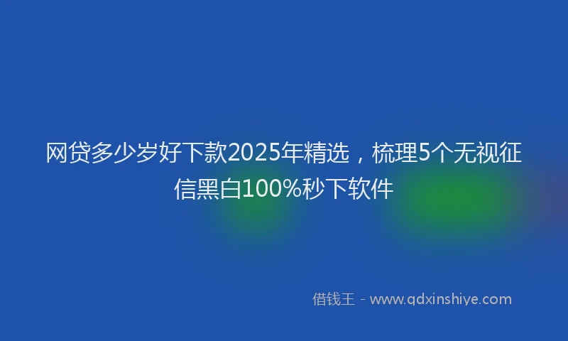 网贷多少岁好下款2025年精选，梳理5个无视征信黑白100%秒下软件