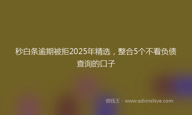 秒白条逾期被拒2025年精选，整合5个不看负债查询的口子
