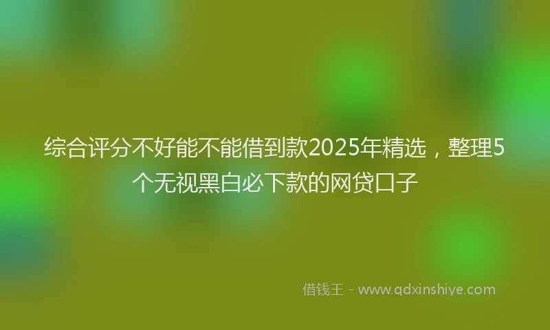 综合评分不好能不能借到款2025年精选，整理5个无视黑白必下款的网贷口子