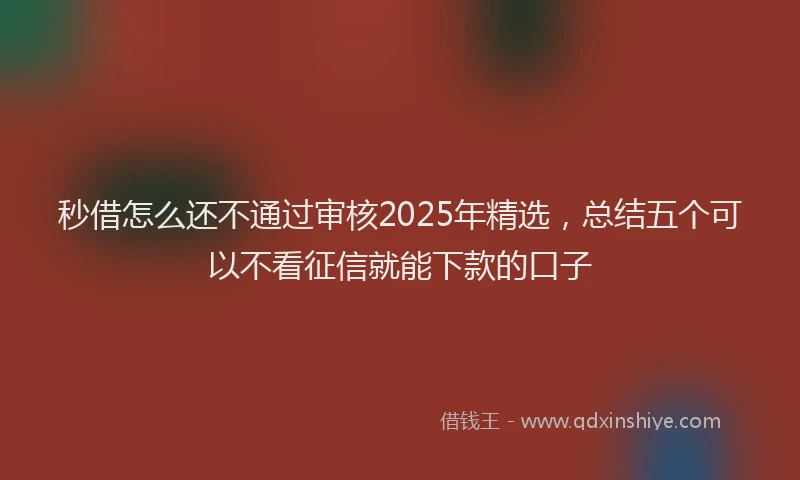 秒借怎么还不通过审核2025年精选，总结五个可以不看征信就能下款的口子