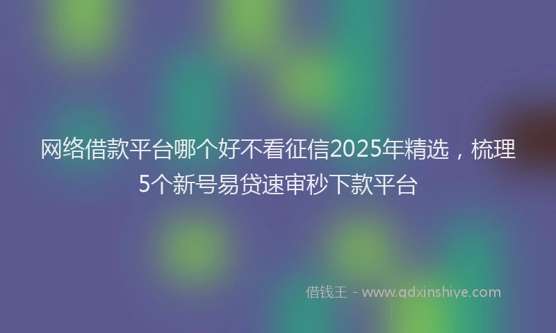 网络借款平台哪个好不看征信2025年精选，梳理5个新号易贷速审秒下款平台