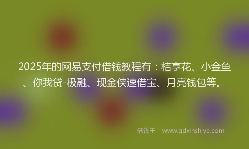 2025年的网易支付借钱教程有：桔享花、小金鱼、你我贷-极融、现金侠速借宝、月亮钱包等。