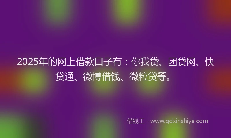 2025年的网上借款口子有：你我贷、团贷网、快贷通、微博借钱、微粒贷等。