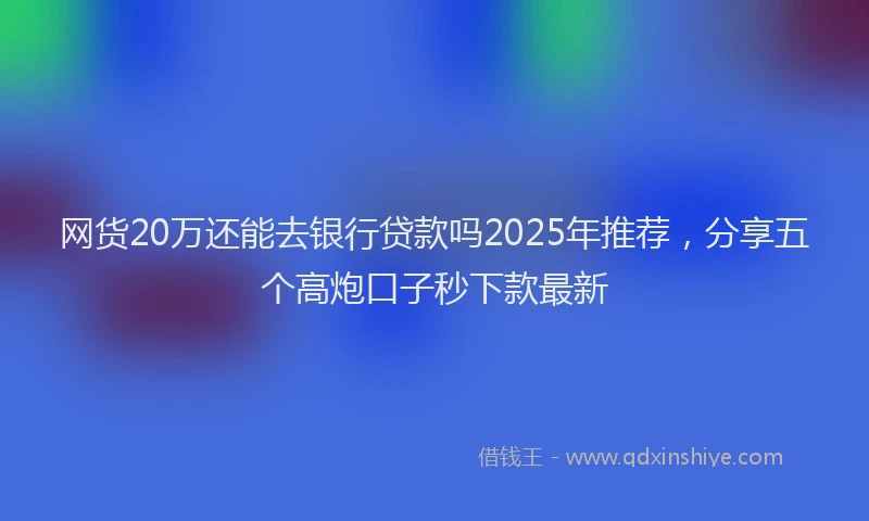 网货20万还能去银行贷款吗2025年推荐，分享五个高炮口子秒下款最新