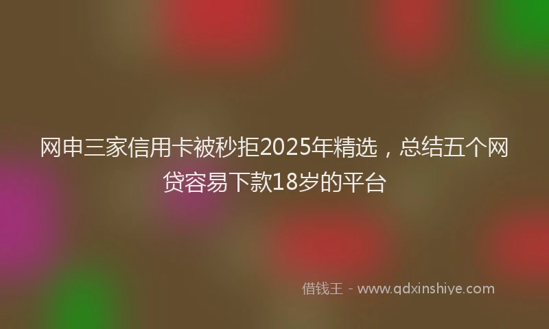 网申三家信用卡被秒拒2025年精选，总结五个网贷容易下款18岁的平台