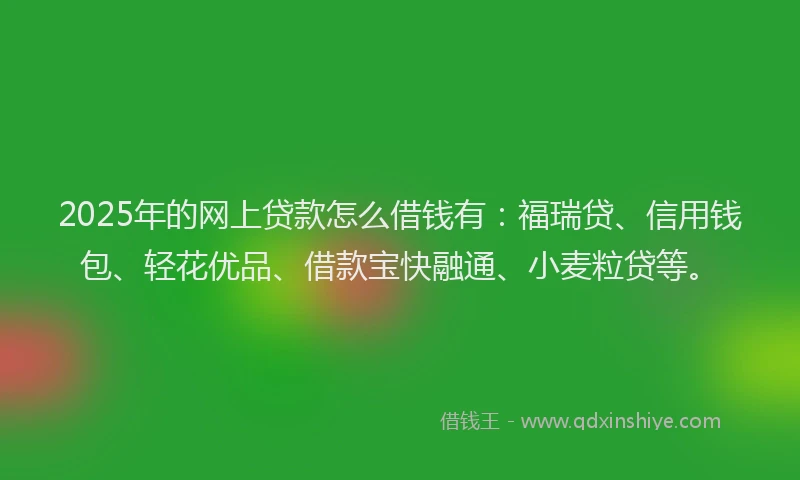 2025年的网上贷款怎么借钱有：福瑞贷、信用钱包、轻花优品、借款宝快融通、小麦粒贷等。
