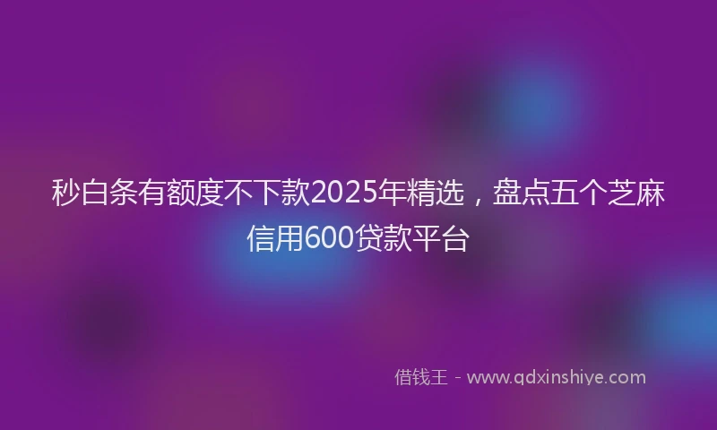 秒白条有额度不下款2025年精选，盘点五个芝麻信用600贷款平台