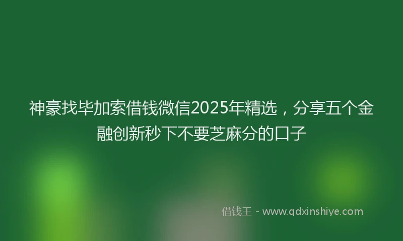 神豪找毕加索借钱微信2025年精选，分享五个金融创新秒下不要芝麻分的口子