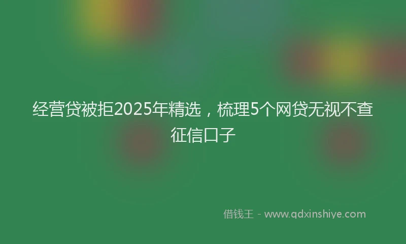 经营贷被拒2025年精选，梳理5个网贷无视不查征信口子