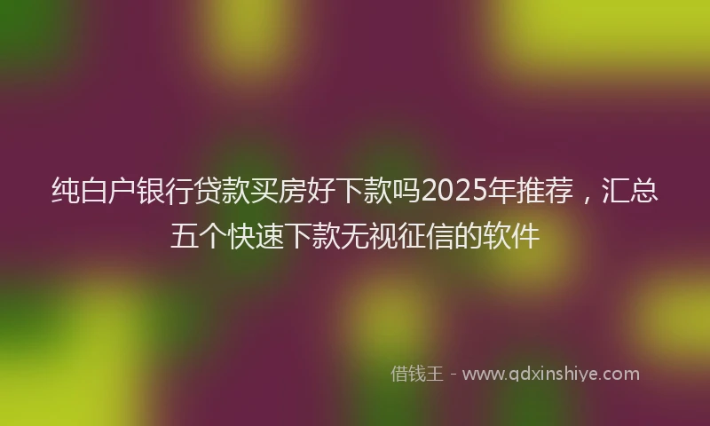 纯白户银行贷款买房好下款吗2025年推荐，汇总五个快速下款无视征信的软件