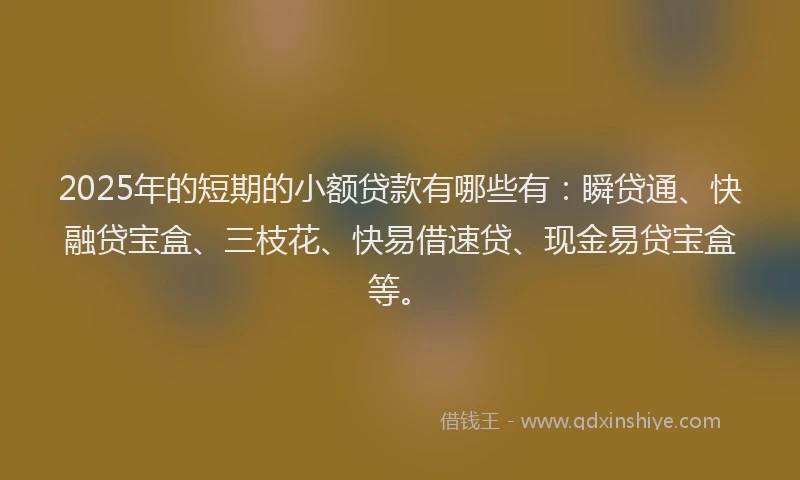 2025年的短期的小额贷款有哪些有：瞬贷通、快融贷宝盒、三枝花、快易借速贷、现金易贷宝盒等。