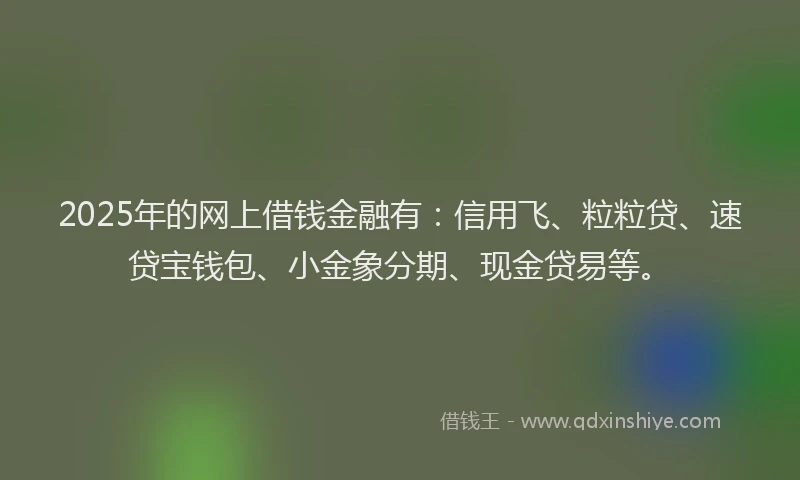 2025年的网上借钱金融有：信用飞、粒粒贷、速贷宝钱包、小金象分期、现金贷易等。