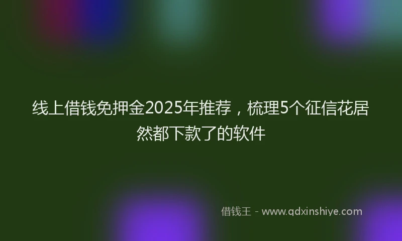 线上借钱免押金2025年推荐，梳理5个征信花居然都下款了的软件