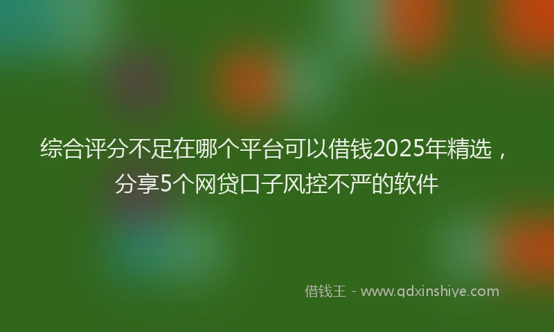 综合评分不足在哪个平台可以借钱2025年精选，分享5个网贷口子风控不严的软件