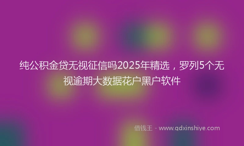 纯公积金贷无视征信吗2025年精选，罗列5个无视逾期大数据花户黑户软件