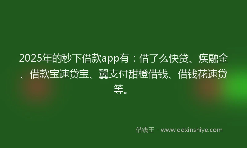 2025年的秒下借款app有：借了么快贷、疾融金、借款宝速贷宝、翼支付甜橙借钱、借钱花速贷等。