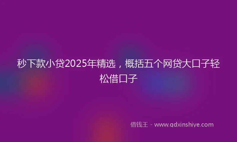 秒下款小贷2025年精选，概括五个网贷大口子轻松借口子