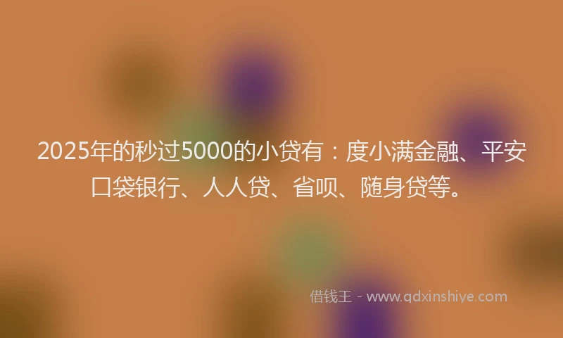 2025年的秒过5000的小贷有：度小满金融、平安口袋银行、人人贷、省呗、随身贷等。